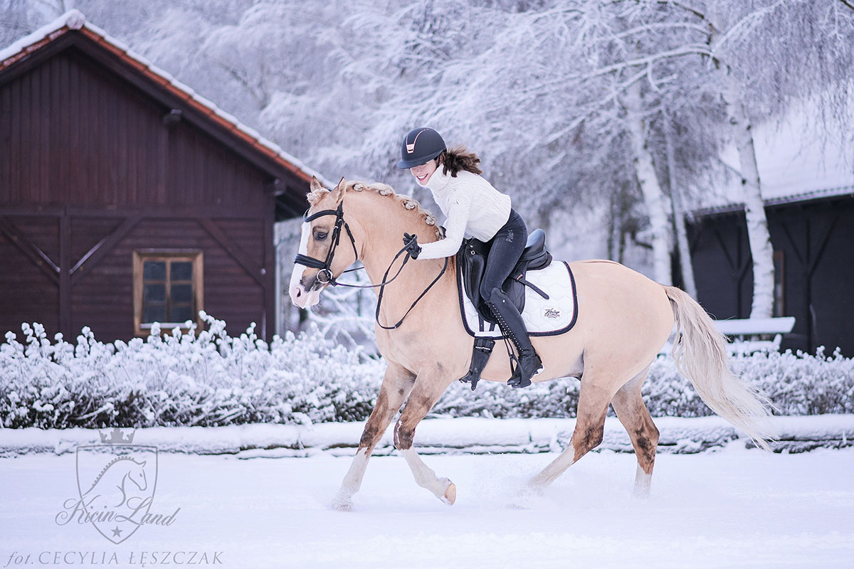 Maryna Kowalska & Daichi Dalvin (Djamai du Bois x Don Cremello du Bois), Kicinland - Poland